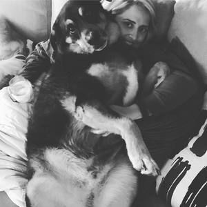 Meet your Posher, Ariel